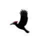 Preview: Emaille-Brosche Vogel