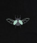 Preview: T-Shirt mit Nashornkäfer