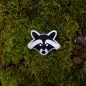 Preview: Viskose Patch - Aufnäher Waschbär