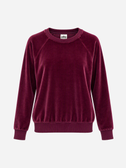 Sweater aus Baumwollsamt