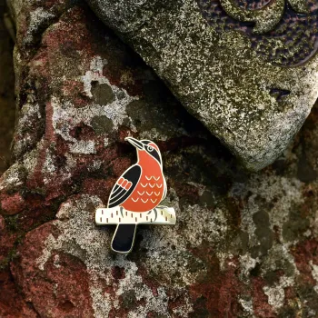 Halsbanddrossel Anstecker