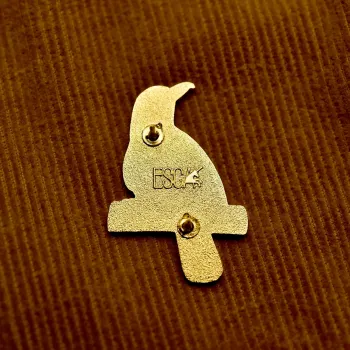 Preview: Halsbanddrossel Anstecker