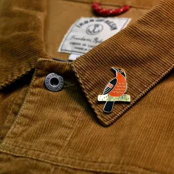 Preview: Halsbanddrossel Anstecker