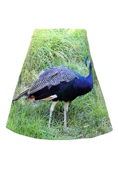 Rock mit Digitalprint