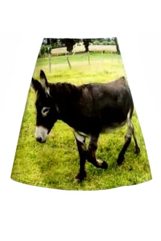 A-Linien Rock mit Foto