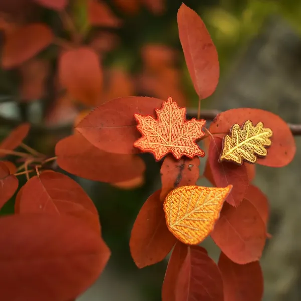 Blätter-Patches – Herbstlaub