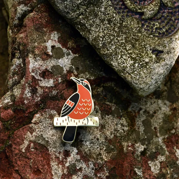 Halsbanddrossel Anstecker